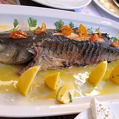 Evilion Νέοι Πόροι